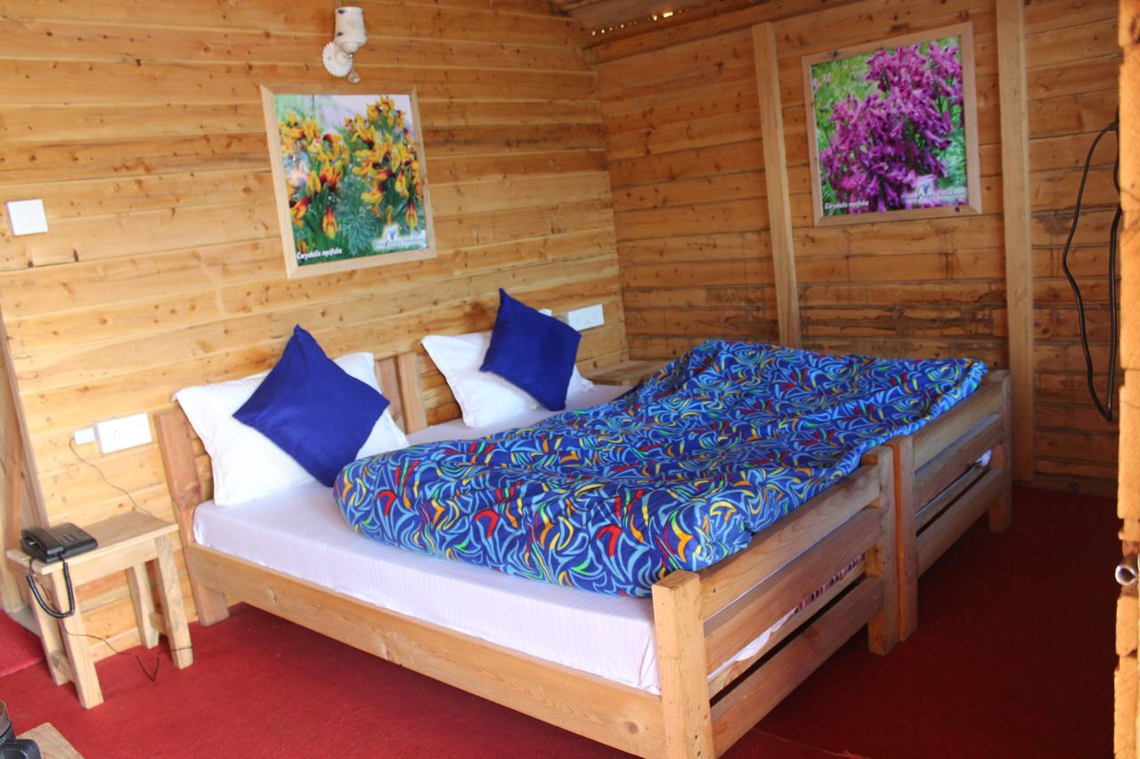 Blue Poppy Resorts Joshīmath Εξωτερικό φωτογραφία