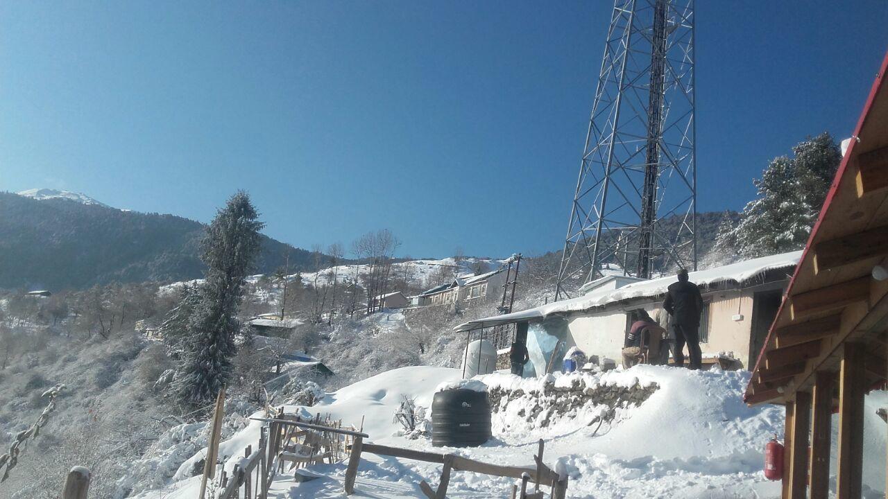 Blue Poppy Resorts Joshīmath Εξωτερικό φωτογραφία